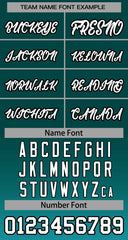 Custom Aqua white-Black Gradient Stripe Fashion Authentic Baseball Jersey