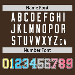 Custom Brown Genderflux For Pride Month Classic Style Authentic Baseball Jersey