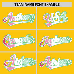 Custom Gold Abrosexual For Pride Month Classic Style Authentic Baseball Jersey