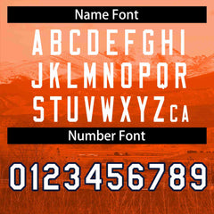 Custom Orange White-Navy Denver City Connect Baseball Jersey