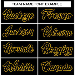 Custom Full Button Down Sportwear Stitched Baseball Jersey for Team